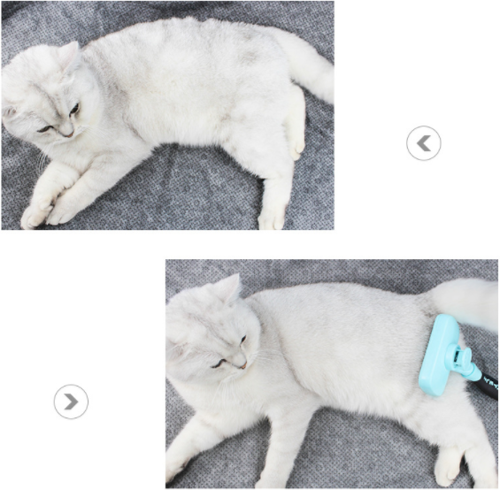 Automatic Pet Hair Remover Brush for Dogs and Cats